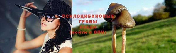 ALPHA-PVP Белокуриха